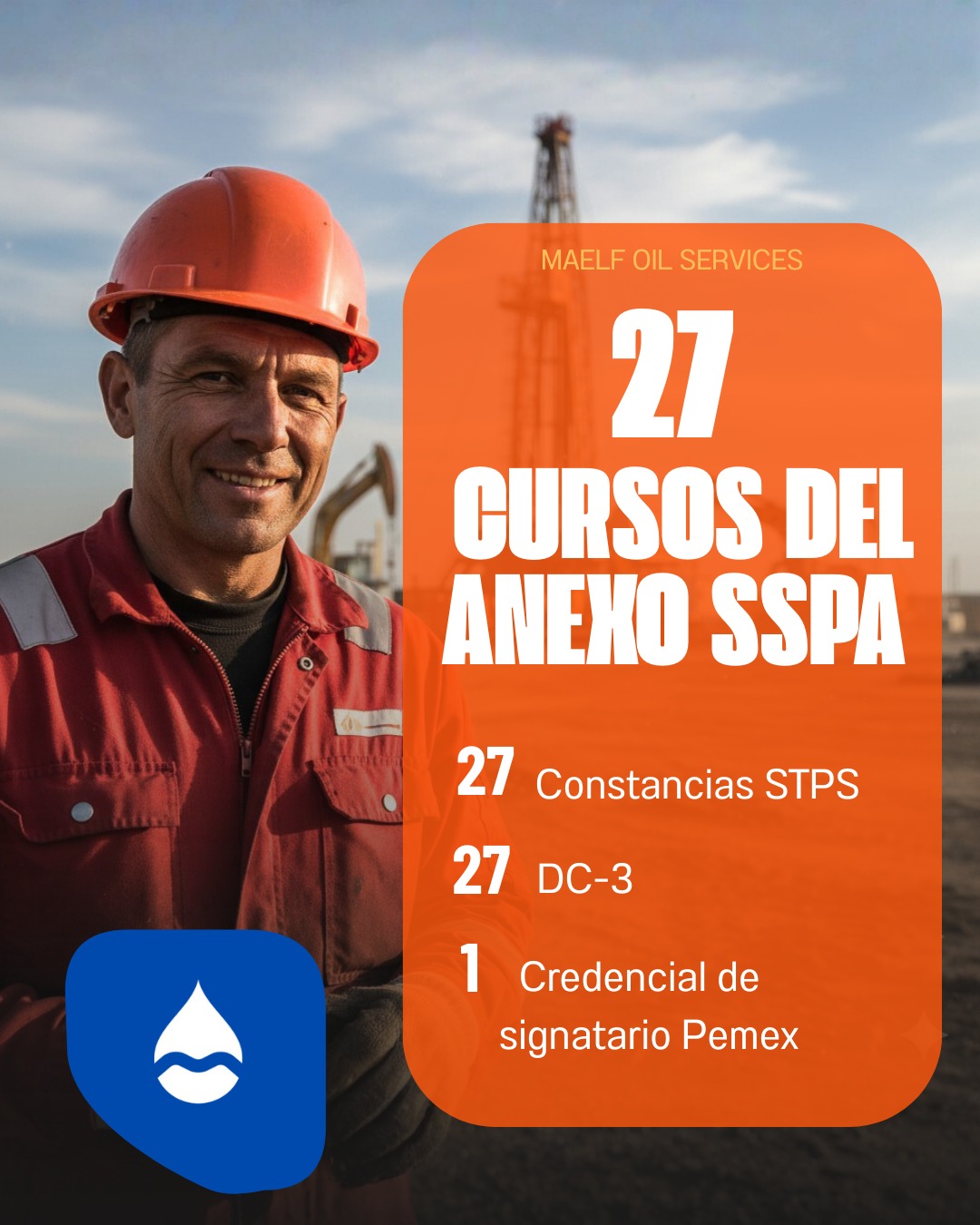Pack 27 Cursos del SSPA